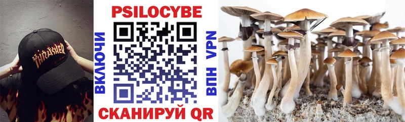 Галлюциногенные грибы Cubensis Костомукша
